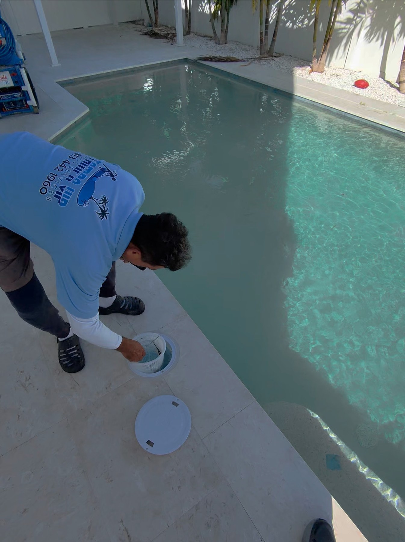 Tampa VIP technician servicing a skimmer basket during a pool visit