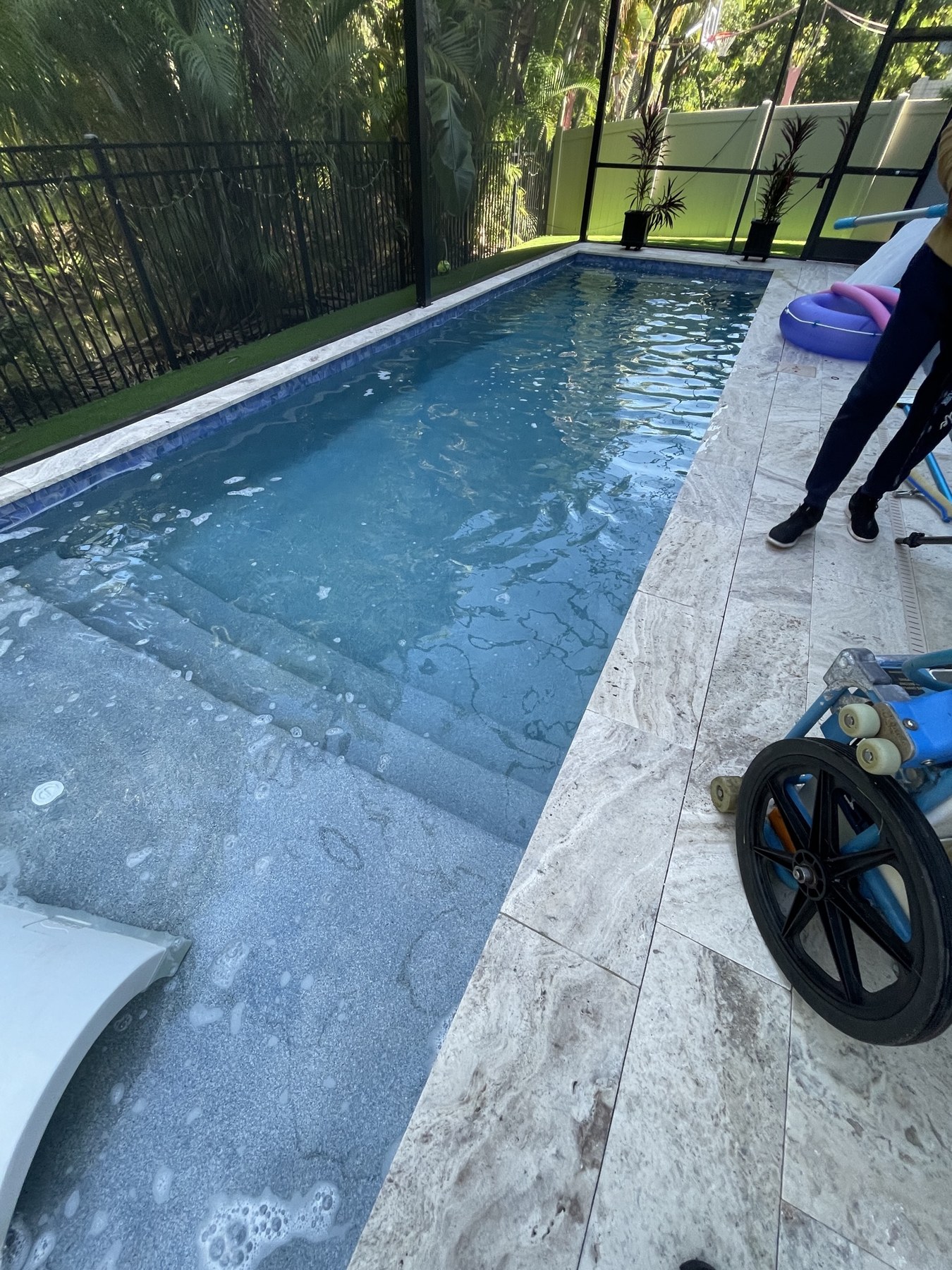 Tampa VIP pool service at a Tampa residence